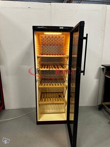 100238500559 100238500559