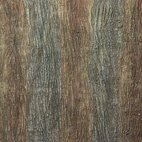 481-PINE-TREE-FOREST