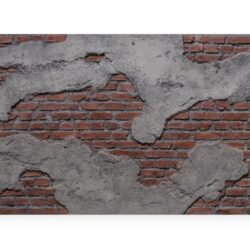 Distressed Wall Shaded Red