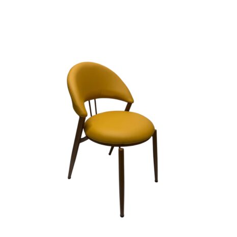 Photoroom_20241025_161604 Photoroom_20241025_161604