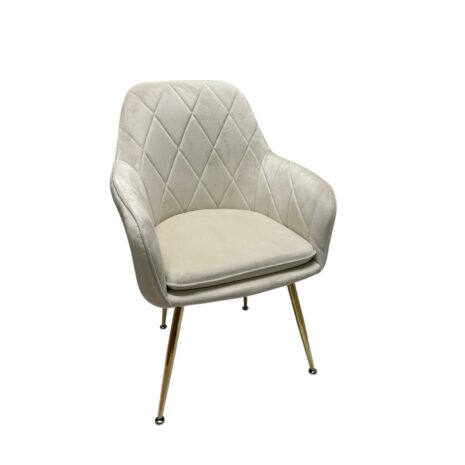 Photoroom_20241025_124218