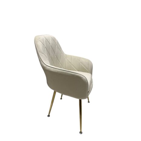 Photoroom_20241025_124254 Photoroom_20241025_124254