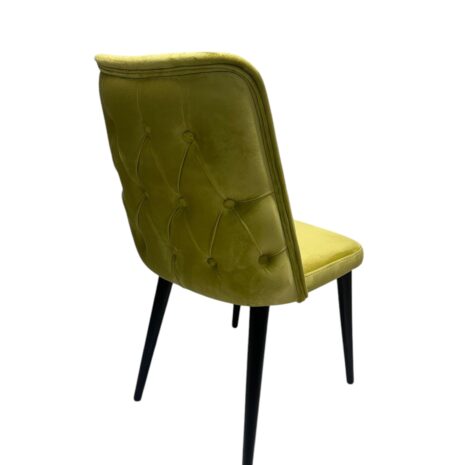 Photoroom_20241022_174834 Photoroom_20241022_174834