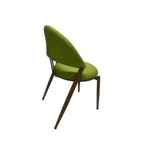 Photoroom_20241025_181033 Photoroom_20241025_181033