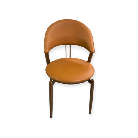 Photoroom_20241217_120155 Photoroom_20241217_120155